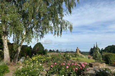 Blooming flowers in a scenic outdoor space