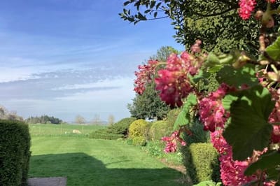 Garden view with blooming flowers in the foreground.