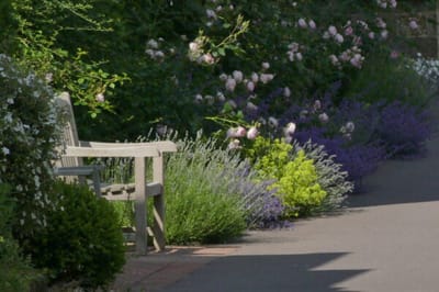 Beautiful outdoor seating area with blooming flowers.