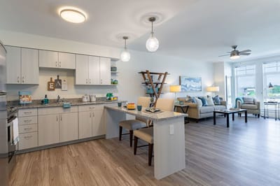 Modern kitchen and living area in the facility