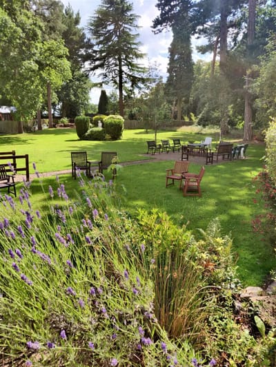 A peaceful garden area with seating