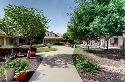 Pathway surrounded by greenery and buildings
