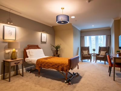 Cozy assisted living room with a hospital bed