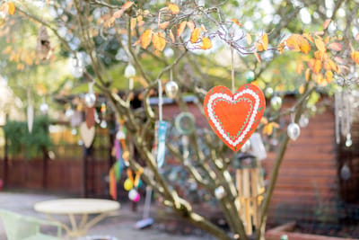 Heart-shaped decoration hanging from a tree
