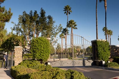 Entrance gate surrounded by palm trees and shrubs.