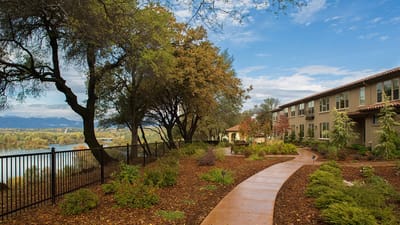 Pathway through a landscaped outdoor area
