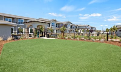 Outdoor space with grassy area and building facade.