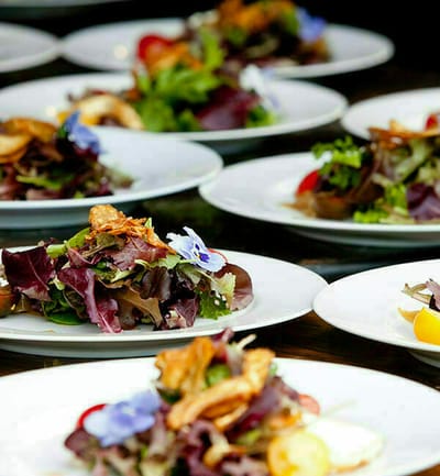 Plated salads with fresh greens and flowers
