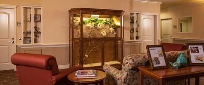 Cozy common area with seating and a bird exhibit.