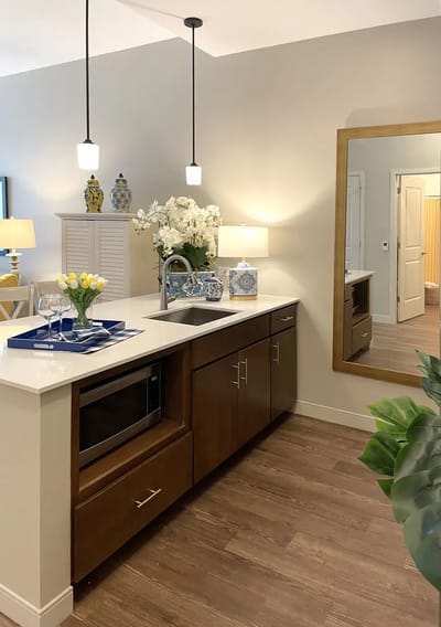 A well-decorated kitchen area with plants and decor
