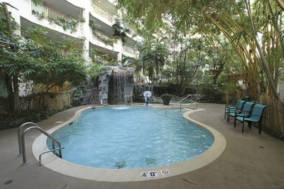 Swimming pool area surrounded by greenery