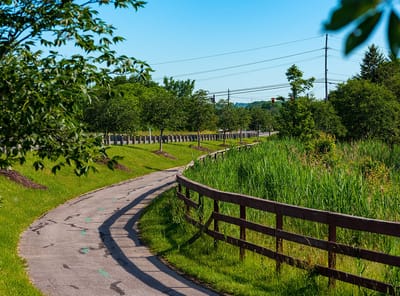 Meandering walking path surrounded by greenery