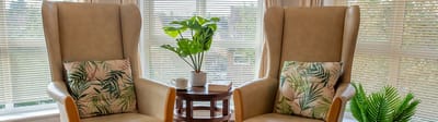 Cozy seating area with plants and cushions
