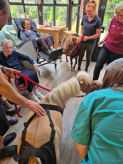 Residents interacting with therapy ponies during an activity