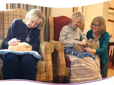 Residents enjoying time with small pets in a cozy lounge