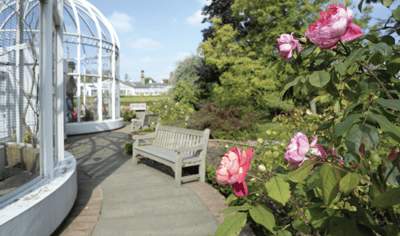 Beautiful garden path with roses and seating areas