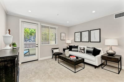 Bright and modern living room setup