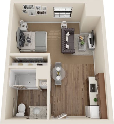 Aerial view of a one-bedroom apartment layout