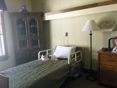 A cozy resident room with a cat resting on the bed