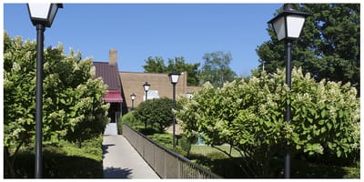Pathway leading to the facility with greenery