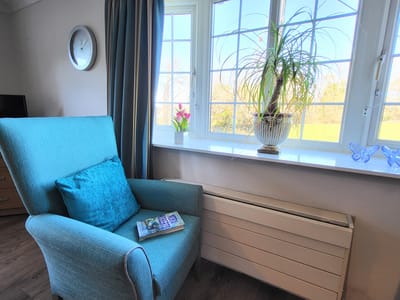 Cozy corner with a chair and plants near the window