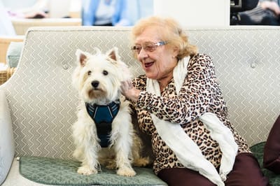 Elderly woman enjoying time with a dog in a cozy setting.