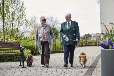 A staff member and resident walking two dogs outdoors.