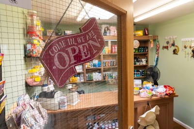 Interior view of a shop with an open sign