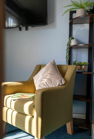 Cozy chair with plants and a television