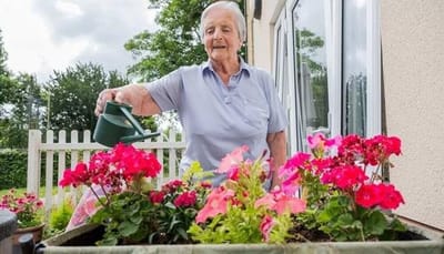 Elderly woman watering flowers in a garden.