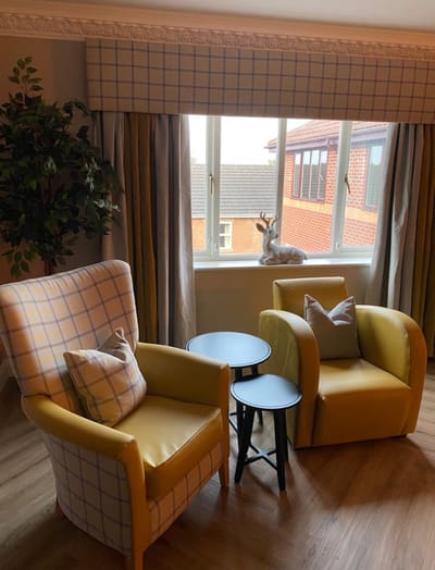 Comfortable seating area with chairs and a plant.