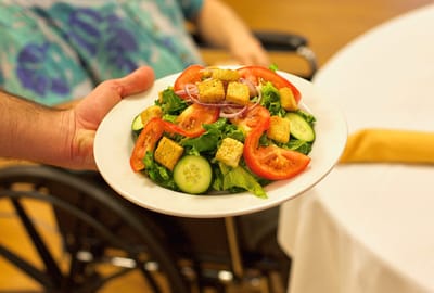 Hand holding a plate of salad in a wheelchair