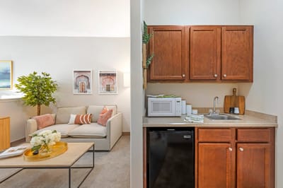 Cozy living area with kitchenette and seating.