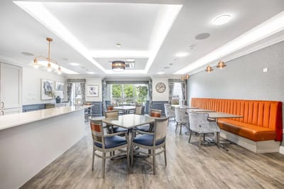 Bright dining room with modern furnishings