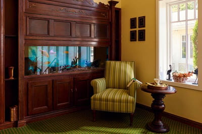 Cozy interior with an aquarium and seating area