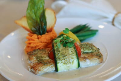 Plated gourmet meal with vegetables and fish