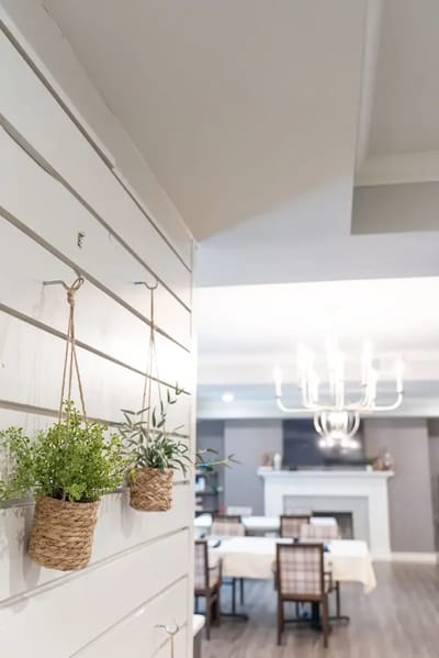 Interior view showing hanging plants in a common area