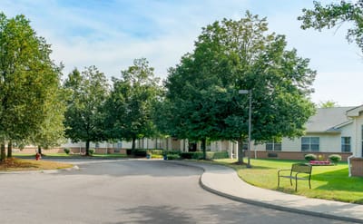 Pathway lined with trees at the facility