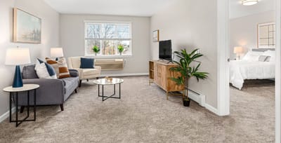 Cozy living space with seating and plants