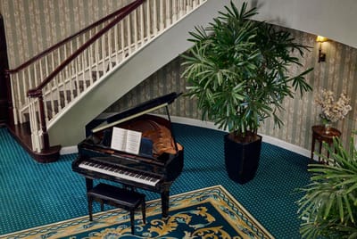 Elegant interior with a grand piano and decorative plants