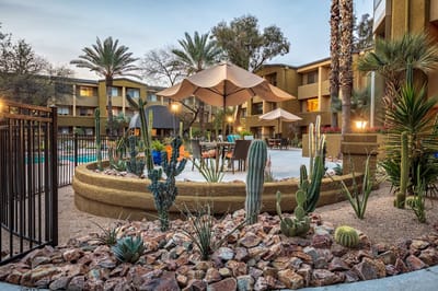 Outdoor patio with plants and seating area