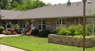 Outdoor garden area with plants and flowers