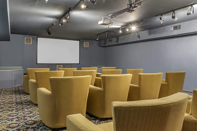 Interior of a cozy viewing room with yellow chairs