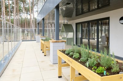 Raised garden beds on a patio area.