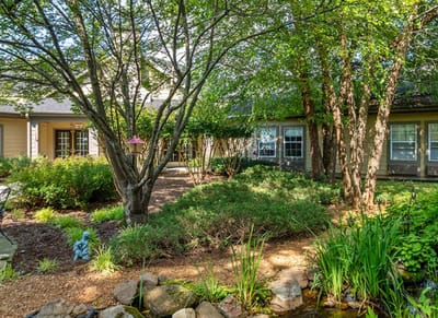 Lush garden area with trees and pathways