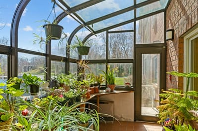 Greenhouse area filled with potted plants and natural light