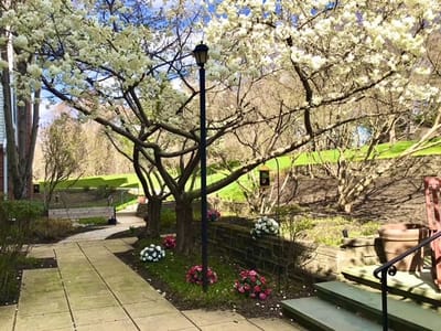 Pathway in a well-kept garden area with blooming flowers