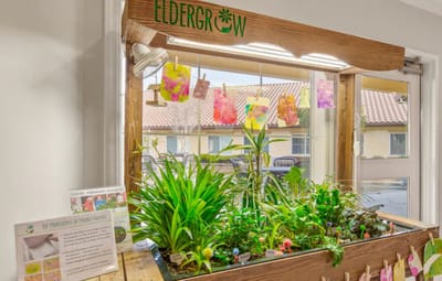 Indoor gardening area with plants and art displayed