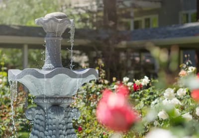 A beautifully landscaped garden with a fountain and blooming roses.