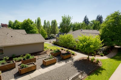 View of landscaped garden and outdoor space